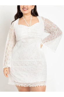 Retro short white plus size dress with lace