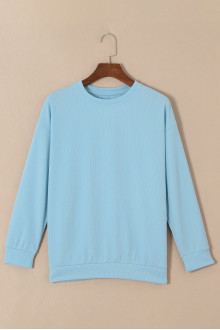 Sheer plus size blouse with long sleeves in light pastel blue