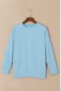 Sheer plus size blouse with long sleeves in light pastel blue