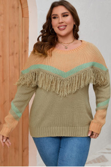 Beautiful plus size sweater in pastel colors with fringe