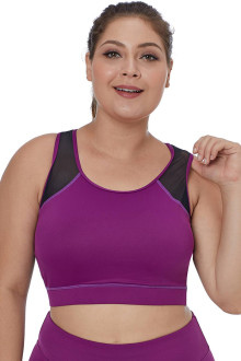 Fuchsia Plus Size Sports Bra